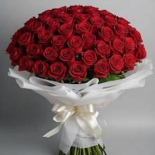 Букет 101 Красная роза Блэк Мэджик в Анучино