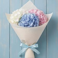 Букет цветов из:  Гортензия в Анучино