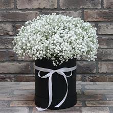 Цветочная композиция из Гипсофила в шляпной коробке в Анучино