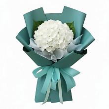 Букет цветов из:  Гортензия в Анучино